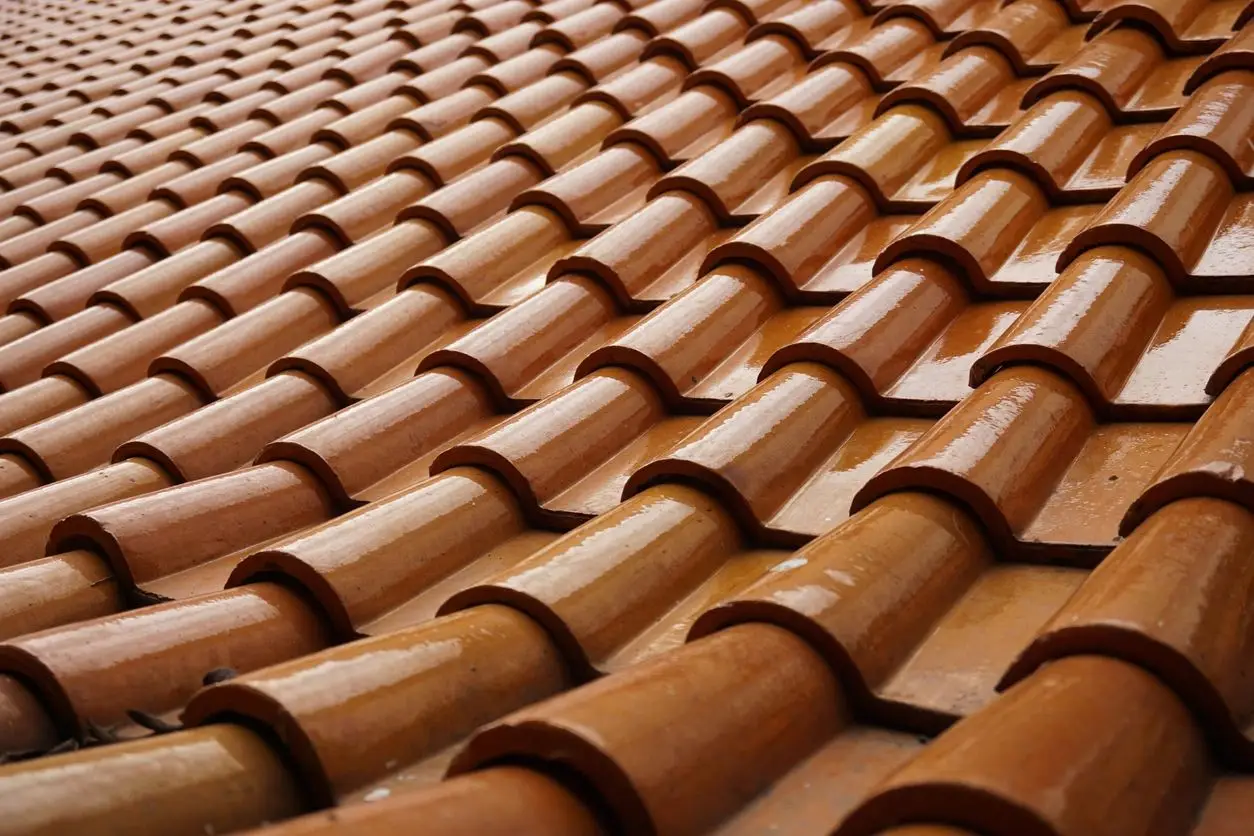 brown Roof